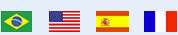 Bandeiras Brasil USA México França